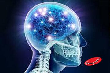 مصرف این غذاها به مغز آسیب میرساند