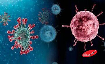 موج جدید آنفلوآنزا؛ طغیان ویروس A(H3N2) در کشور