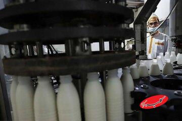 خبر مهم وزیر کشاورزی برای کالابرگ بگیران؛ افزایش قیمت لبنیات اصلاح می شود؟