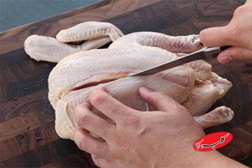 مرغ ۱۰۰ هزار تومانی قالیباف، شعار یا واقعیت؟ / اسدالله‌نژاد: این حرف‌های سیاسی است، نهاده‌ها نایاب‌شده، قیمت سربه فلک‌کشیده 