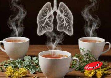 شش دمنوش عالی برای مقابله با آلودگی هوا