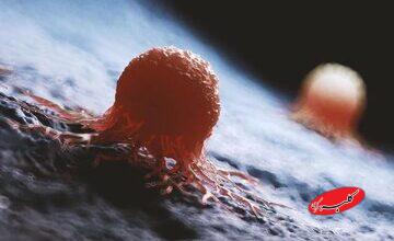 هوش مصنوعی معمای صد ساله سرطان را حل کرد