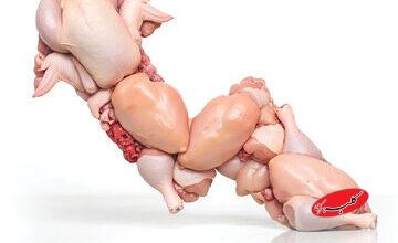 قیمت مرغ بازهم بالاتر می‌پرد؟