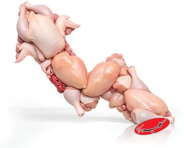 قیمت مرغ بازهم بالاتر میپرد؟