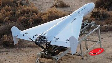 مشهورترین سلاح جهان / همه این پرنده ایرانی را می‌خواهند