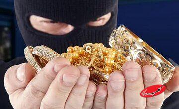 استفاده سارقان از طلایاب برای سرقت از منزل/ واکنش پلیس
