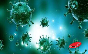 ثبت دومین فوت قطعی ناشی از آنفلوانزا در این استان