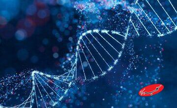اولین دارو برای ترمیم DNA و بازسازی بافت آسیب‌دیده معرفی شد