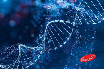 اولین دارو برای ترمیم DNA و بازسازی بافت آسیب‌دیده معرفی شد