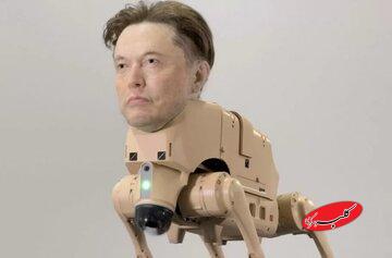 نمایش هنری عجیب: سگهای رباتیک با سر ایلان ماسک و مارک زاکربرگ! /عکس