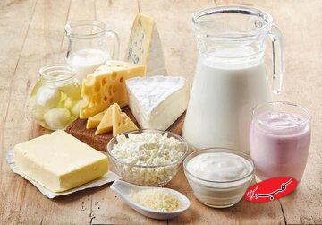 پشت پرده گرانی لبنیات/ فربد: سود واقعی تولیدکنندگان حدود ۵ درصد است / لبنیات قربانی تب برفکی و کمبود نهاده‌هاست!