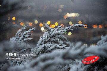 اطلاعیه هواشناسی صادر شد/ جزییات