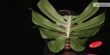 عوامل روانشناختی مدگرایی جوانان و آسیب ها و پیامدهای آن