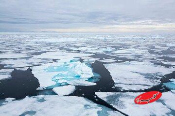 چرا هیچ‌کس نمی‌تواند در قطب شمال زندگی کند؟