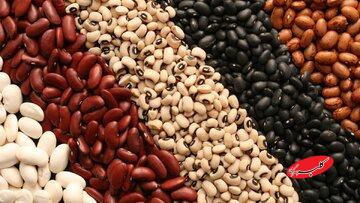 تصمیم جدید دولت برای بازار حبوبات / لوبیا لوکس شد!