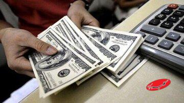 پیش بینی یک اقتصاددان درباره قیمت دلار تا پایان سال/ کف قیمت دلار چه عددی خواهد بود؟