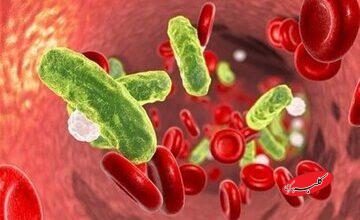 نهج حیات| توصیه امام علی برای مواجهه با بیماری