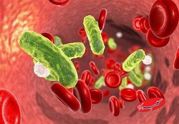 نهج حیات| توصیه امام علی برای مواجهه با بیماری