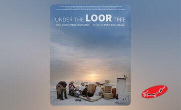 مستند «زیر درخت لور»؛ نگاهی انسانی به مهاجرت و تلاش برای زندگی بهتر