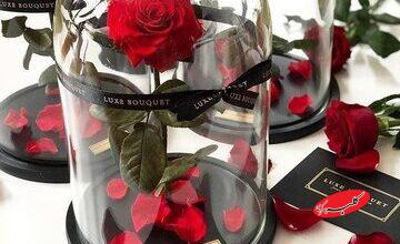 قیمت گل در روز مادر چند برابر شد؟ + جدول قیمت