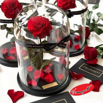 قیمت گل در روز مادر چند برابر شد؟ + جدول قیمت