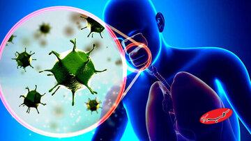 ببینید | اگر آنفلوانزا گرفتید، این توصیه‌ها را جدی بگیرید