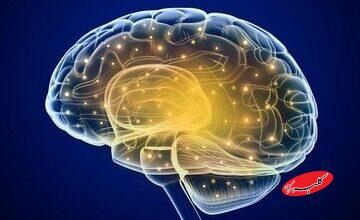 آزمایش «کلاهخود خدا» رد ادعای الهیاتی پرسینگر