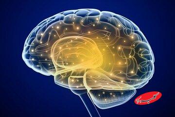 آزمایش «کلاهخود خدا» رد ادعای الهیاتی پرسینگر