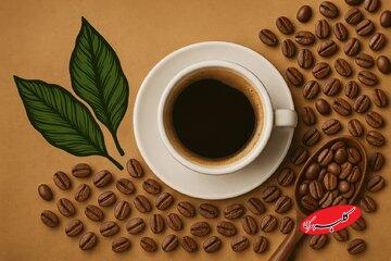 آیا قهوه پروتئینی برای سلامتی مفید است؟