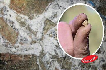 رونمایی از ذخایر عظیم طلا که سالها پنهان مانده بود / فوران طلا از دل زمین