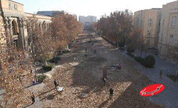 پاییز ـ برگ با۴١ اثر هنری در میدان مشق