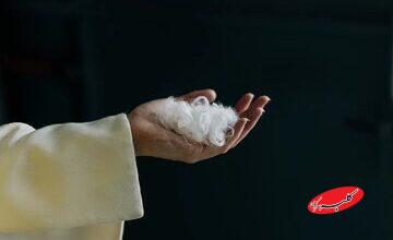 تبدیل پر مرغ به پارچه نفیس کشمیر