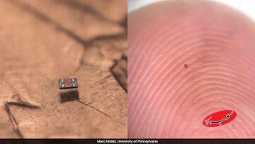 انقلاب در ابعاد میکروسکوپی/ کوچکترین رباتهای جهان با مغز دیجیتال و سوخت نوری