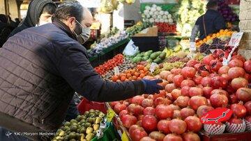 نگران گوجهفرنگی نباشید؛ قیمتها به تعادل رسید/ شادلو: مغازهداران دنبال گرانفروشی در شب یلدا نباشند