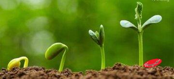 چرا قرآن جوانی را دوران طلایی میداند؟