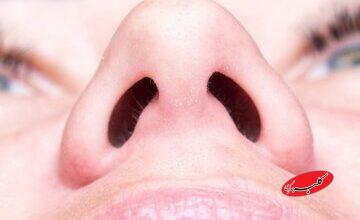 چرا به جای یک سوراخ بزرگ، دو سوراخ بینی داریم؟