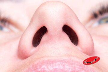 چرا به جای یک سوراخ بزرگ، دو سوراخ بینی داریم؟