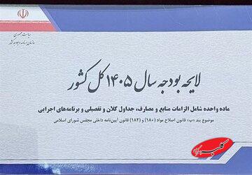 حقوقها در سال 1405 در لایحه پیشنهادی دولت چقدر افزایش یافته است؟/ توضیحات سخنگوی کمیسیون تلفیق درباره بودجه شرکتهای دولتی
