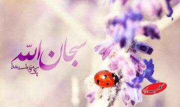 چرا «الله اکبر» معنایی فراتر از «سبحان الله» دارد