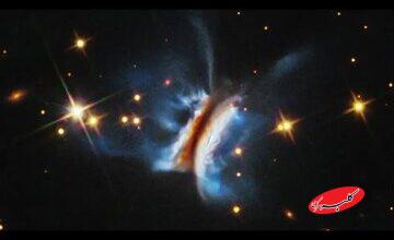 این «ساندویچ دراکولا» است