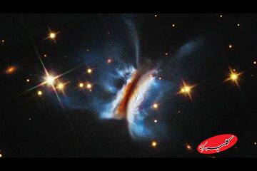 این «ساندویچ دراکولا» است