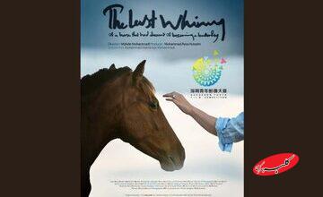 راهیابی «آخرین شیهه...» به جشنواره شنژن چین/ نامزدی جایزه بهترین فیلمبرداری