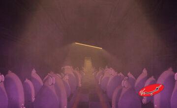 پشهای که زندگی مرغها را نجات میدهد/ بودجه مورد نیاز ۵۰۰ میلیون، پرداختی ۷۰ میلیون!