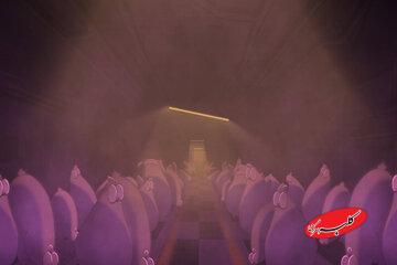 پشهای که زندگی مرغها را نجات میدهد/ بودجه مورد نیاز ۵۰۰ میلیون، پرداختی ۷۰ میلیون!