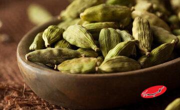 معرفی خواص یک خوشبوکننده طبیعی دهان