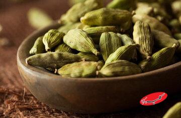 معرفی خواص یک خوشبوکننده طبیعی دهان