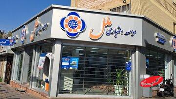 بازداشت مدیرعامل سابق موسسه ملل تایید شد