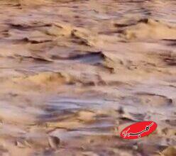 سیلابهای عظیم از افغانستان به سوی ایران راه افتاد؛ هامون پر آب میشود؟