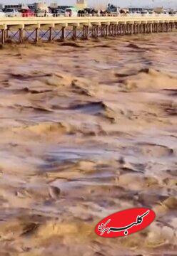 سیلابهای عظیم از افغانستان به سوی ایران راه افتاد؛ هامون پر آب میشود؟