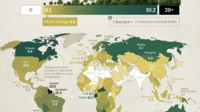 سرانه جنگل در کشورهای مختلف جهان